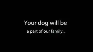 doggie day care|980-229-0349|Mooresville North Carolina 28115|overnight dog sitting rates|