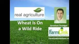 Wheat is On a Wild Ride - Jon Driedger, FarmLink Marketing