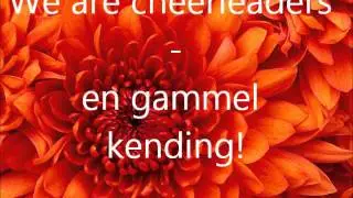 we are cheerleaders