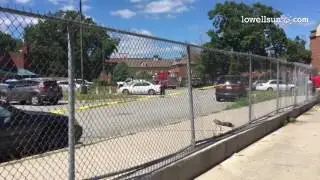 Scene at Murkland Elementary, where unidentified woman killed after being struck by pickup truck