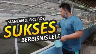 Kisah Inspiratif! Mantan Office Boy Sukses Berbisnis Pembibitan Lele