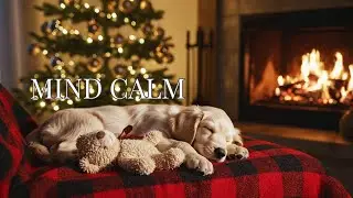 Warm Holiday Ambience: Festive Fireplace & Sleeping Puppy Music for Calming the Mind 🎄✨