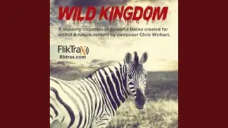 Wild Alaska
