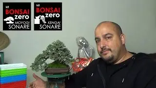 Bonsai Zero Juníperos!!!