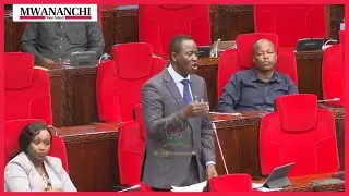 Mbunge mwanyika ACHARUKA Bungeni
