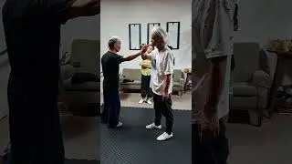 推手擒拿炮锤 Qin na + strikes