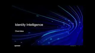 Identity Intelligence Overview