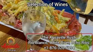 Ecape to The Aquaville Rush Ocho Rios on a Culinary Journey and Stay for the Fun & Entertainment
