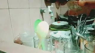Silent Cleaning: Washing The Dishes