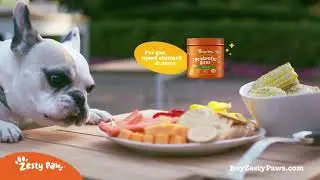 Zesty Paws | More Zest | 30 | Revised Chewy Logo