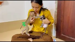 jasmine love koi but she always jealously feel when koi huq mom