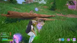 Fortnite_20260120185331