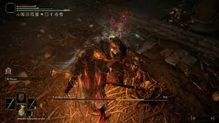 Death Knight (Longhaft Axe Form) Parry Only