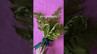 From Forest Floor to Craft Studio: Fern Magic