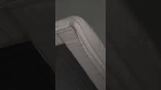 В зимних условиях всегда что-то живёт!