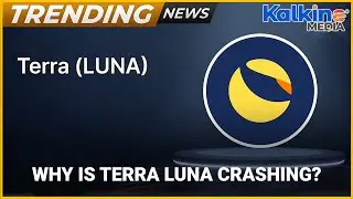 Terra Luna Devastating Crash | Trending News Australia