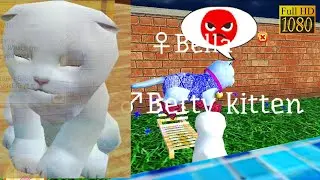 Cute Pocket Cat 3D Game Review 1080p Official Pocket Games Entertainment