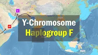 Распределение гаплогруппы F Y-хромосомы