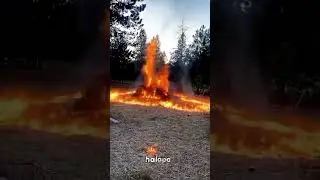 Los Angeles fire - Moments before disasters