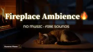 Fireplace Ambience 🔥 Cozy Fire Sounds (No Music) | 1.5 Hours