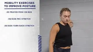 7 Daily Stretches to Improve Your Posture