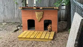DIY Build a Solid Weatherproof Doghouse for 2 dogs step by step @BGBuilderTX