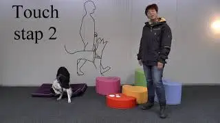 7   Hoe leer je jouw hond om de snoepjesmachine te bedienen?