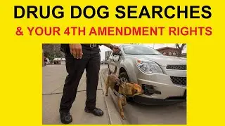 DRUG DOG SEARCHES VERSUS YOUR 4TH AMENDMENT RIGHTS! (PART 1 OF 2 SERIES)  #4thamendment #DRUGDOGS