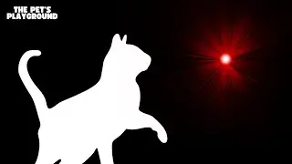 CAT GAMES - Laser Chaser | The Pet's Playground (1 HOUR EDITION)