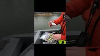 TAAVI JÄLLE TÖÖTAB!  #our_fishing_trips #fishinginfinland