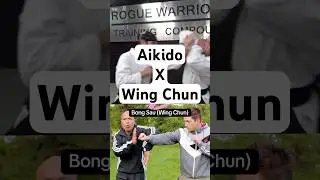 Aikido vs Wing Chun #aikido #wingchun #martialarts