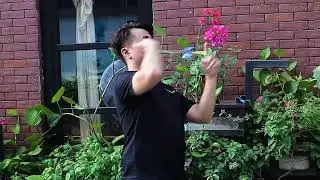 #yoyo #yoyotricks #yoyotvchannel #yoyocollection  Please subscribe us if you like.