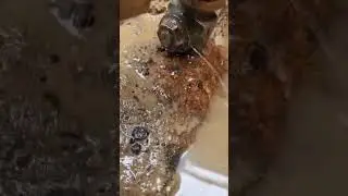 Leaking&nbsp;Water&nbsp;Tap&nbsp;Connection&nbsp;on a NYC Main Water&nbsp;Line