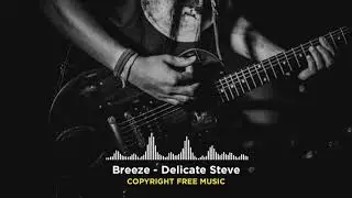 Breeze - Delicate Steve || Royalty Free Music || Copyright free music || RF MUSIC PRODUCTION
