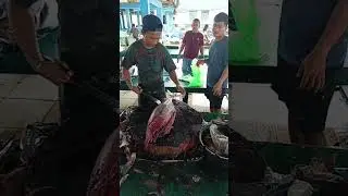 The process of peeling the tuna skin and fillet by Bang Iwan #fish #fishcutting#fyp #shorts #food