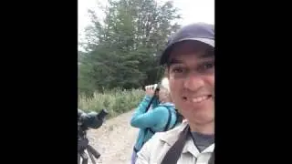 Chile Birding Chile Patagonia Aysen