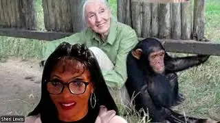 Sheri Lewis Speaks Truth Honoring Dame Jane Goodall 💔 RIP