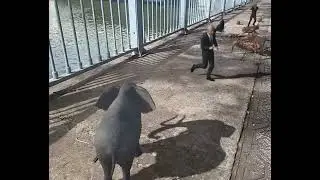 Immersal AR Test