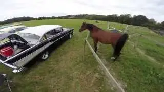 UK Tri Chevy Picnic 2014