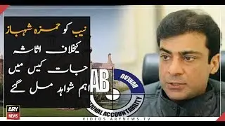 NAB found significant evidence in the assets case against Hamza Shahbaz