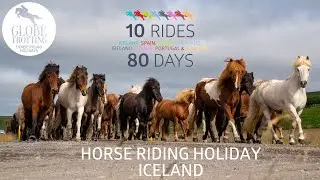 Keen on a horse riding vacation in Iceland?