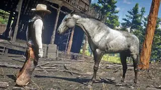 John Marston Finds Hosea's Horse at Big Valley and Tames It | RDR2