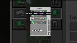 Is the armorer villager good in Minecraft 🦺 #shorts
