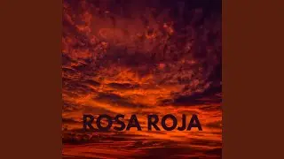 Rosa Roja