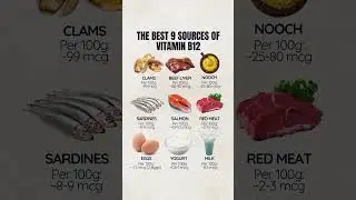 The Best 9 Sources of Vitamin B12