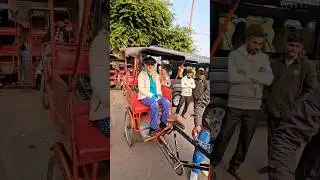 Экскурсия на велорикше #113 #божена #выпендрэ #индия #india #daily #dailyvlogs #dailyshorts