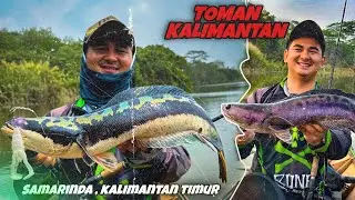 Mancing toman penghuni danau samarinda kalimantan timur bersama @yancaster