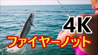 PEとリーダーの結び方【ファイヤーノット解説】初心者様必見！あらゆる釣りで使用可能です＃４K#釣り