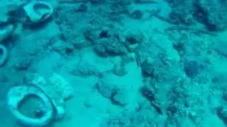 дайвинг на Красном море. унитазные приключения на Shark & Yolanda Reefs