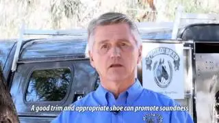 Hoofcare Today - Episode 8 - Horseshoes